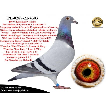 PL-0287-21-4303 Super geny hodowli Koopman/Veenstra 